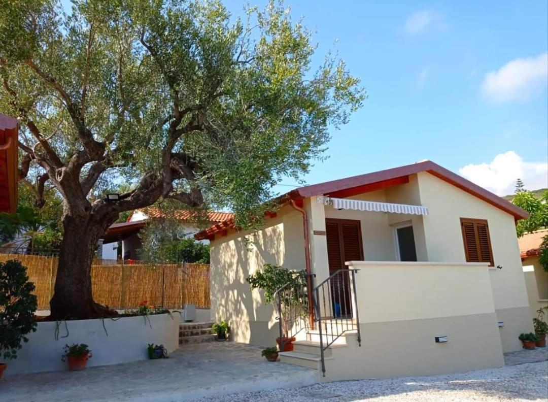 Case Vacanze La Quercia Marina di Camerota Luaran gambar