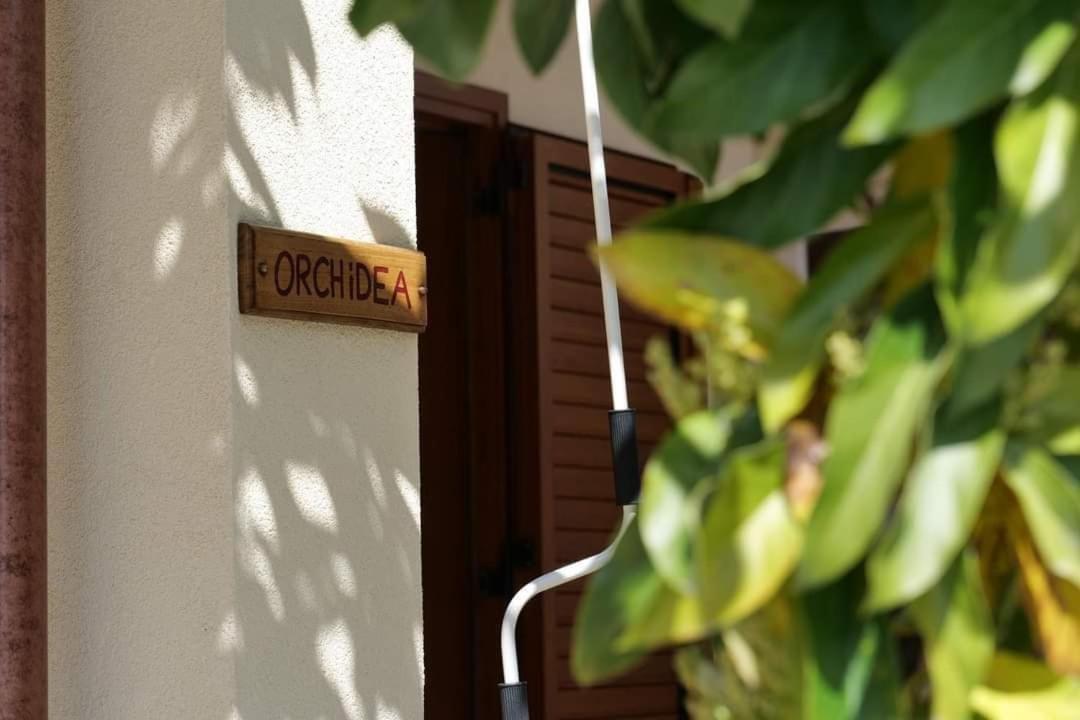 Case Vacanze La Quercia Marina di Camerota Luaran gambar